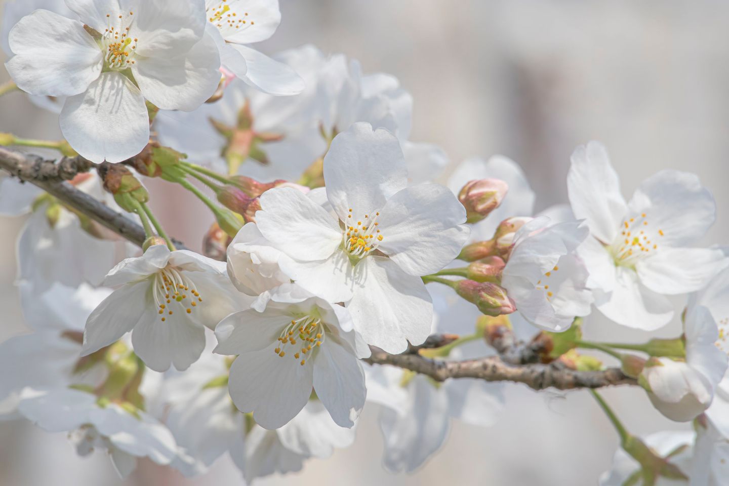 photos/p-02114115-c9cd-40bf-958b-a7fd07e85e131.jpg.json