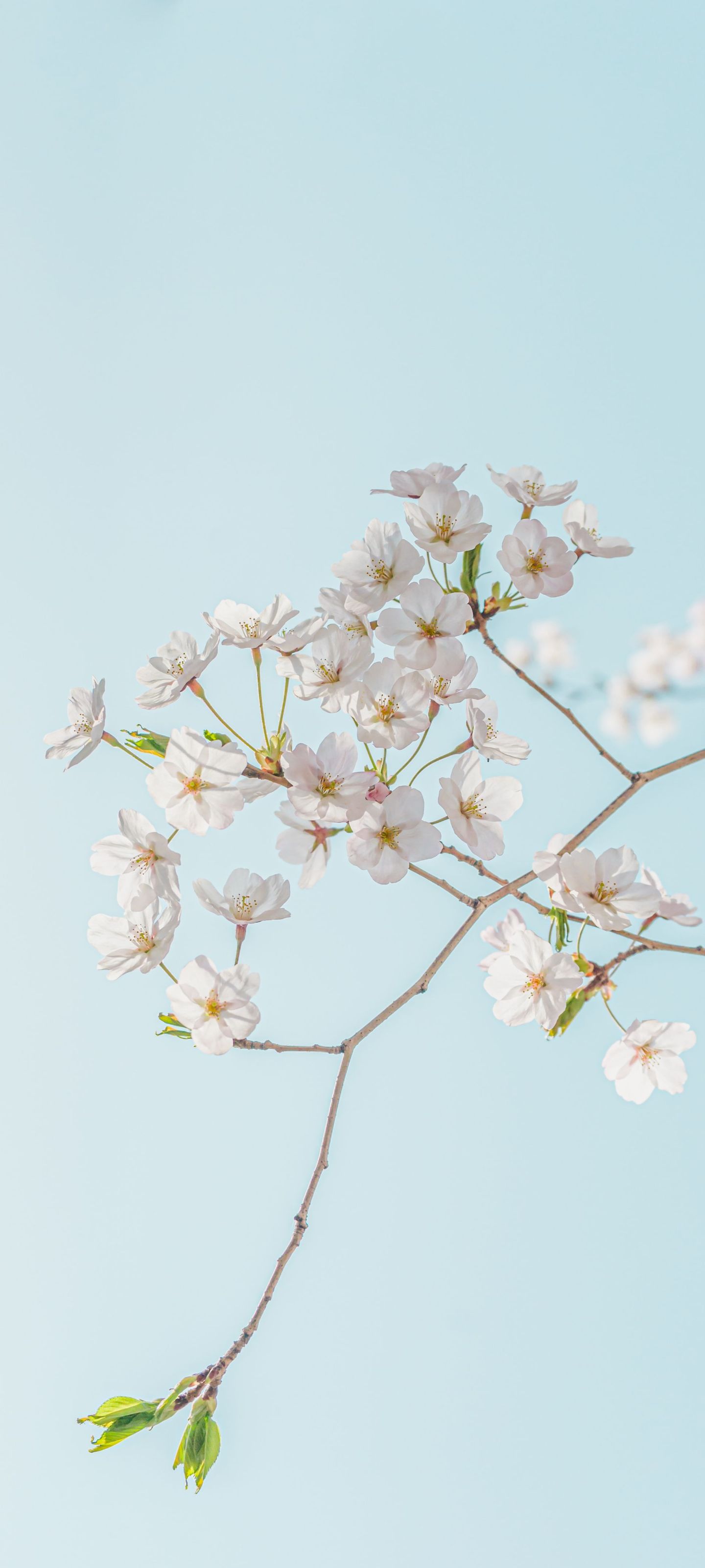 photos/p-07f25f5f-a0af-4671-adf1-a7086c46a6191.jpg.json