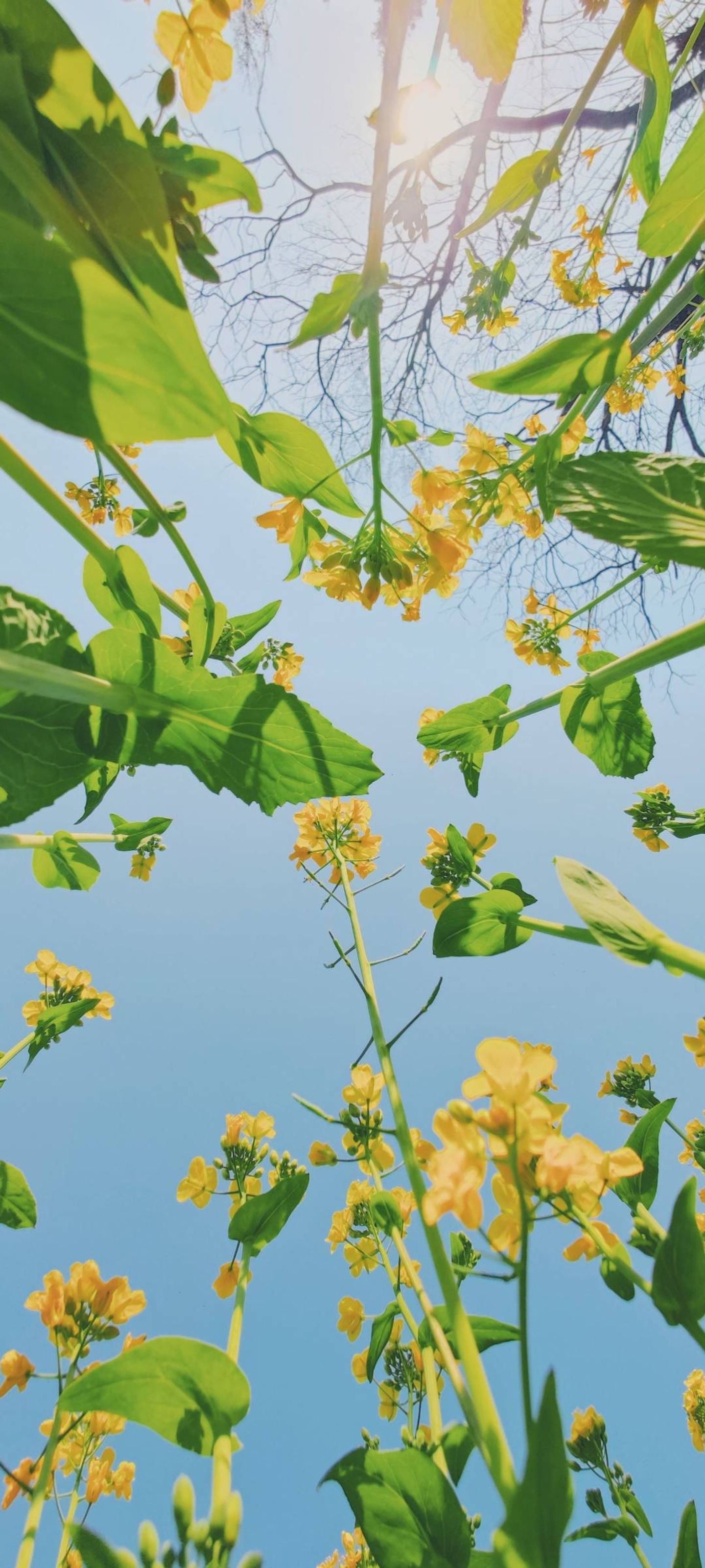 photos/p-0b65f198-2d4c-4cc4-a1ad-7a9c82ef2dca1.jpg.json