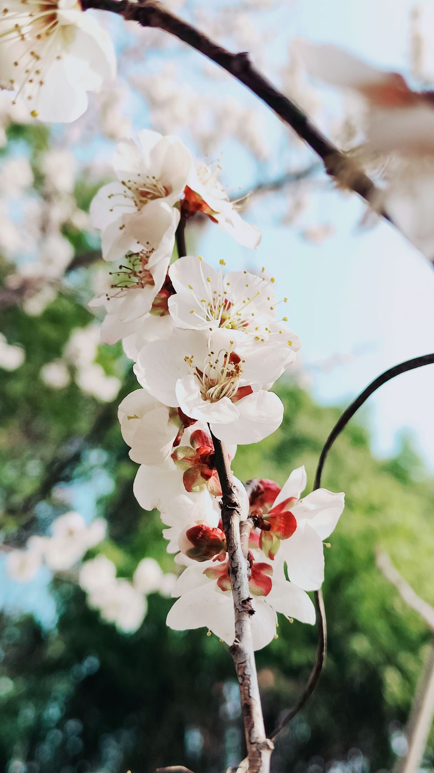 photos/p-0b76e44c-0c4b-435d-916f-6e055525d8fe1.jpg.json