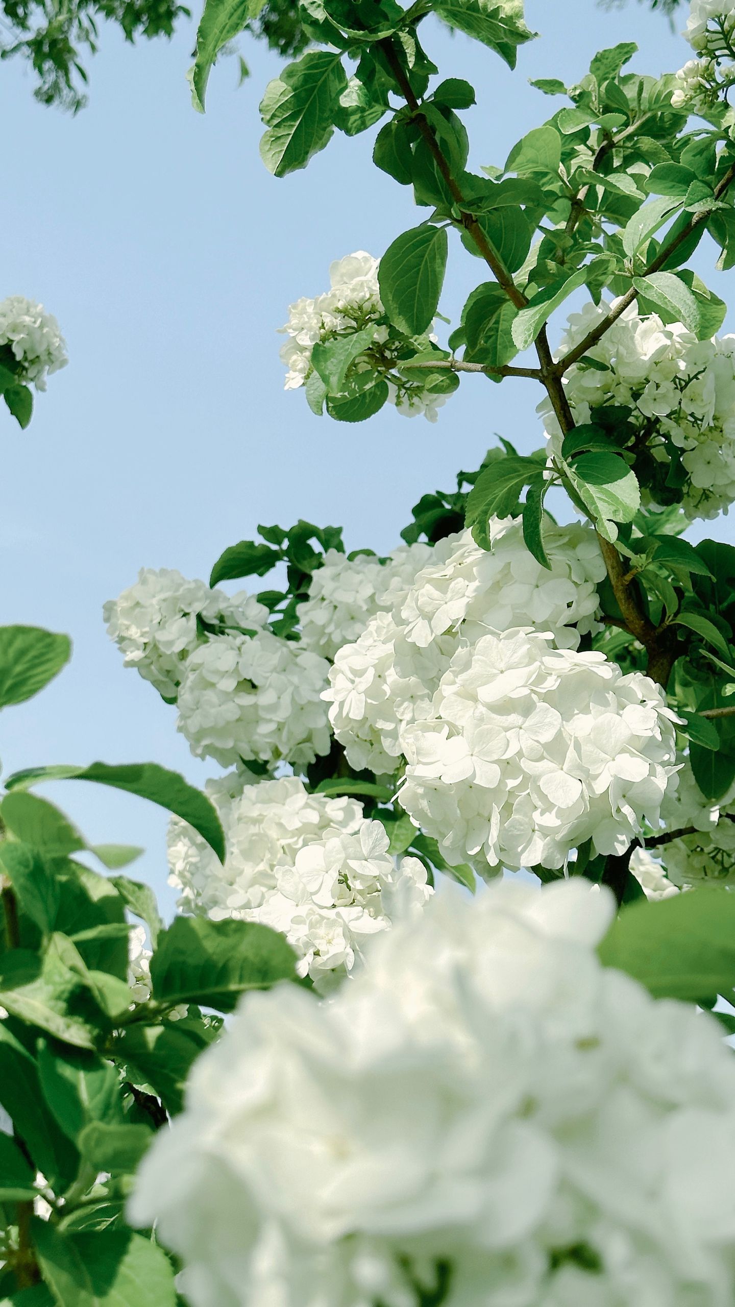 photos/p-10d046c6-7bb9-461c-87b7-1f3a2471c25e1.jpg.json