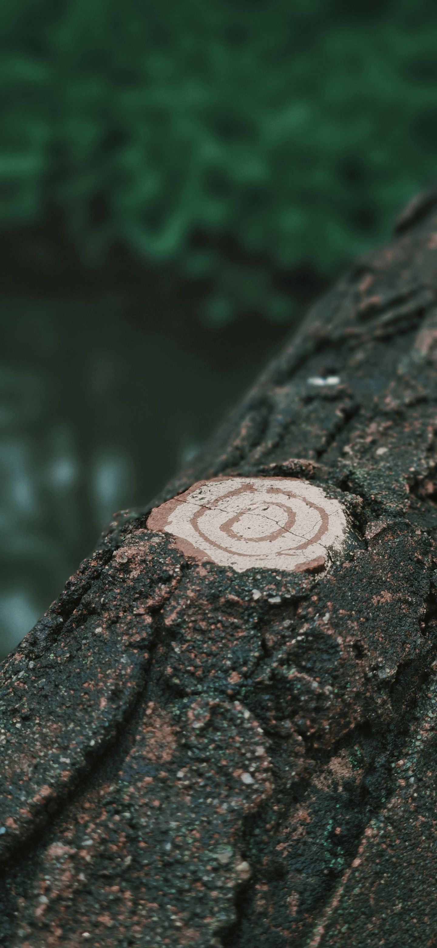 photos/p-169177b2-fea4-4410-80cd-042af8930b941.jpg.json