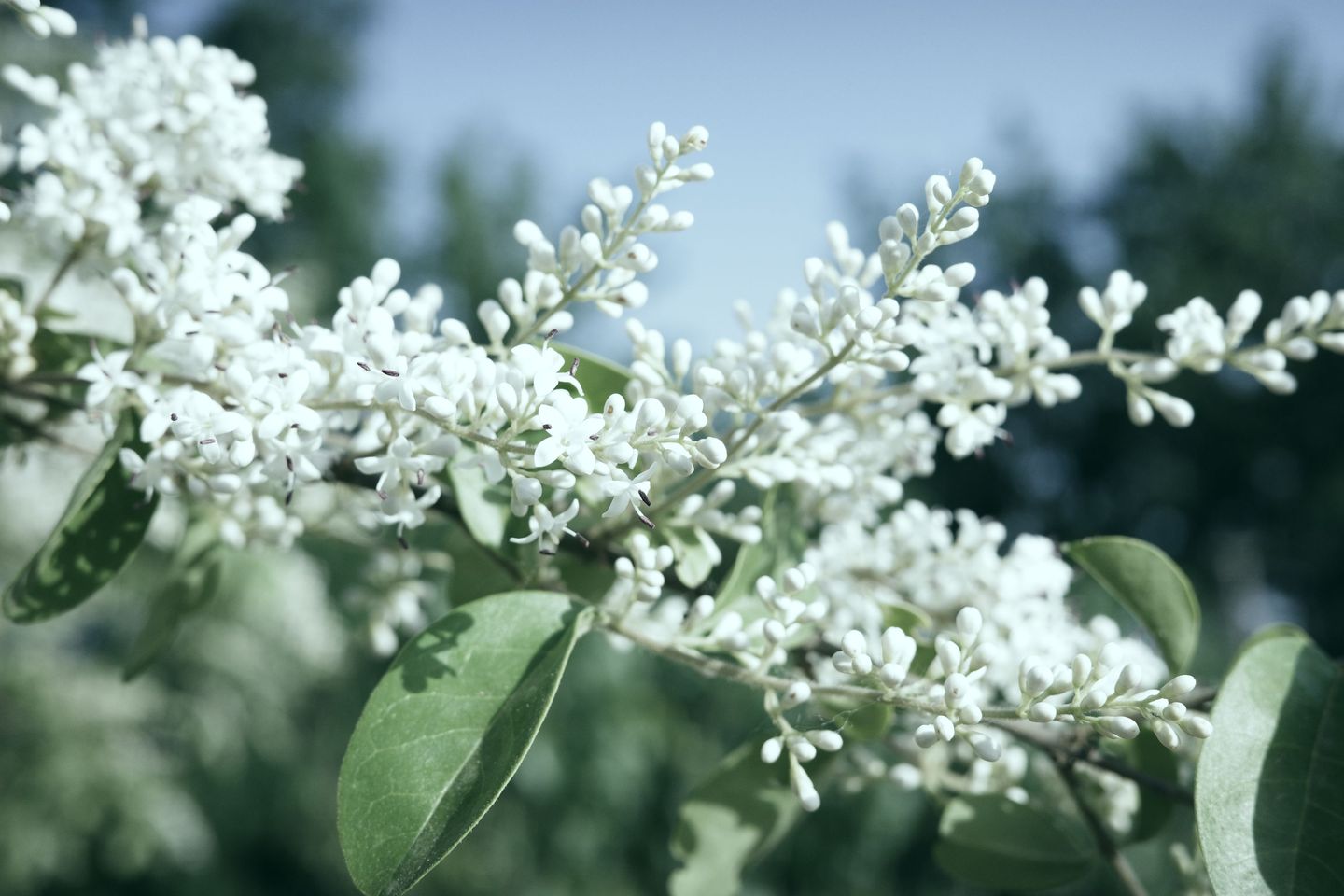 photos/p-2003ca2b-38f4-412b-befe-3e2fd372378f1.jpg.json