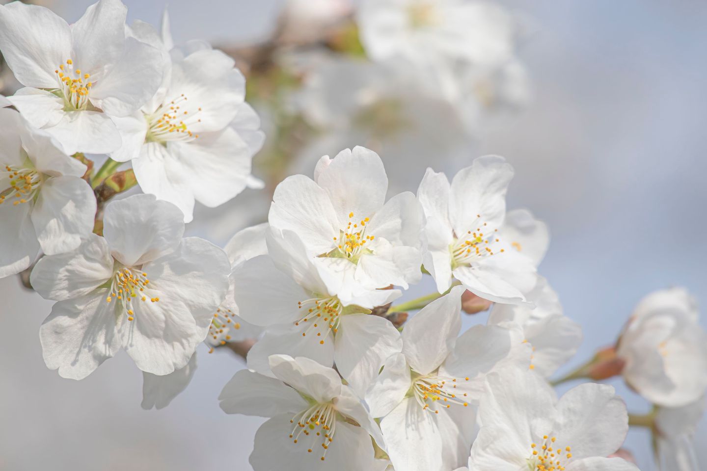 photos/p-224e0b22-f79e-4604-aafa-7ea8ecb99d831.jpg.json