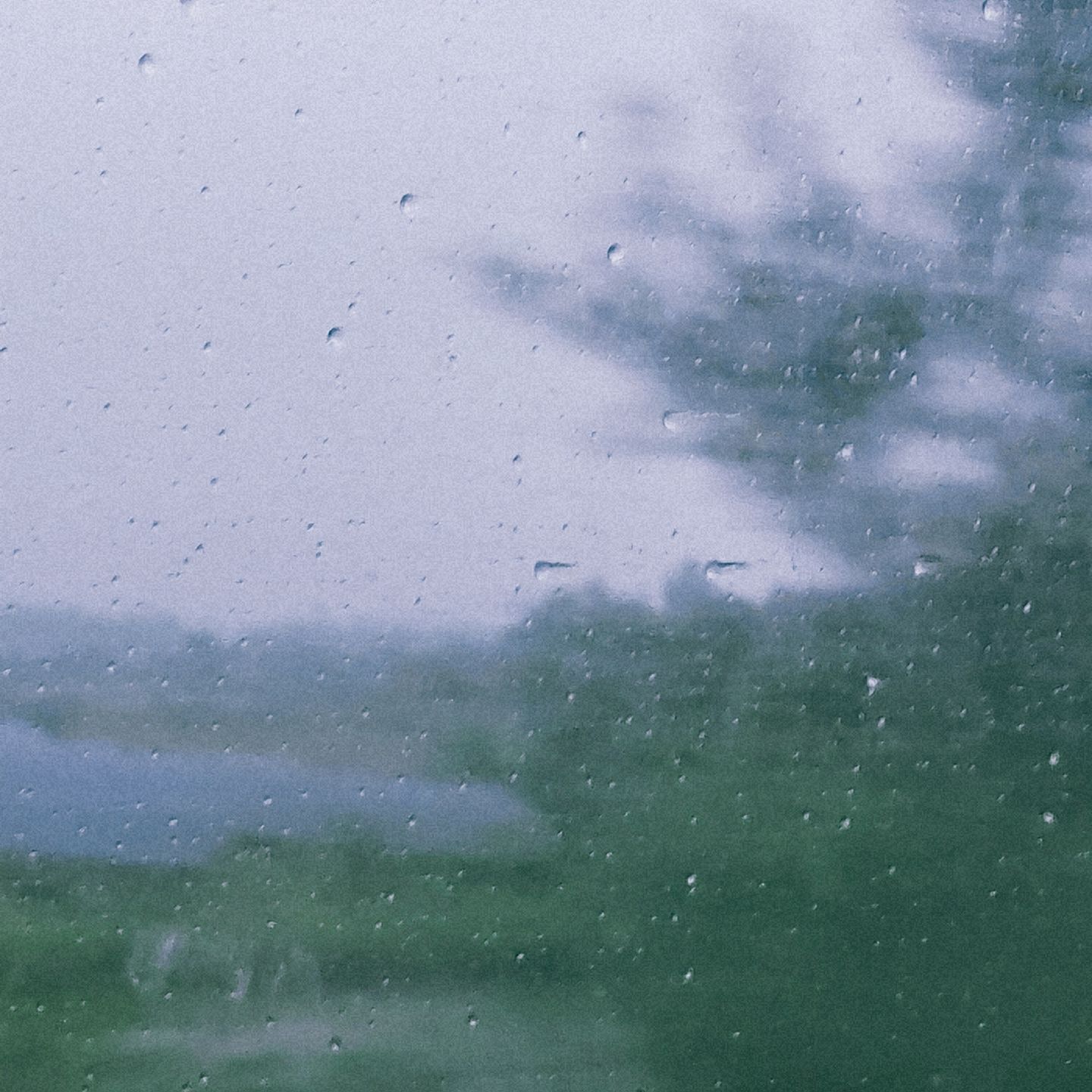 photos/p-40895a96-07f7-4f60-87a2-106359bd19551.jpg.json