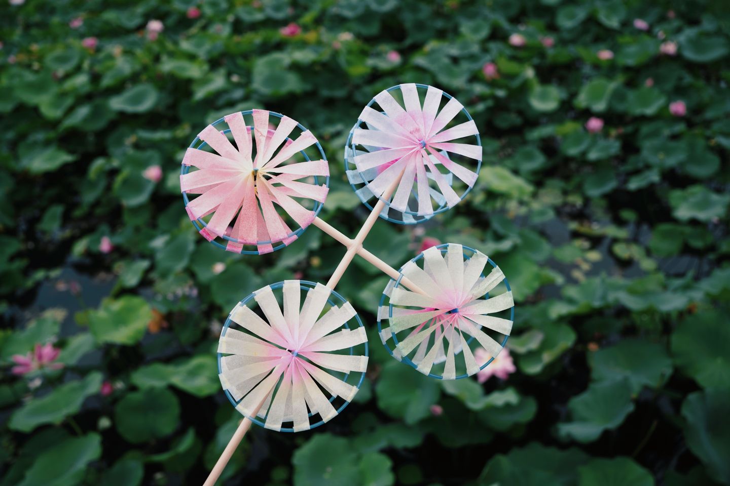 photos/p-4207be31-a802-4591-bbc5-64f77ed05c2c1.jpg.json