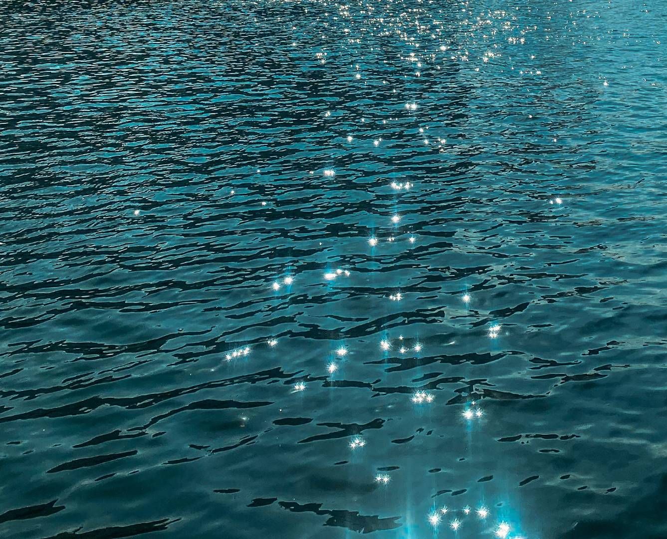 photos/p-4c56af01-98eb-469f-b838-9b4a914ba4631.jpg.json