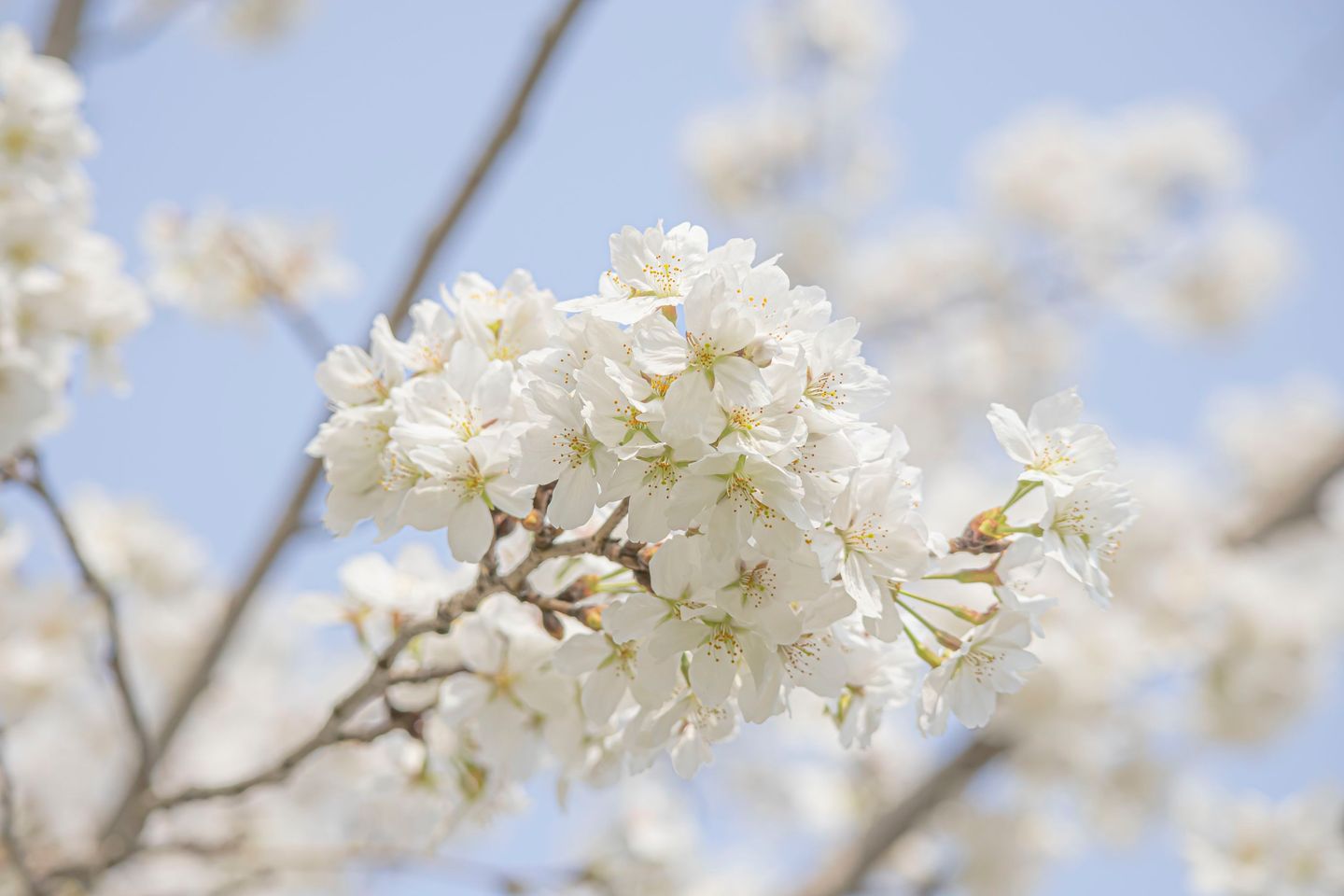 photos/p-73dce9d0-39ed-49e3-b7c8-b35d073abea61.jpg.json