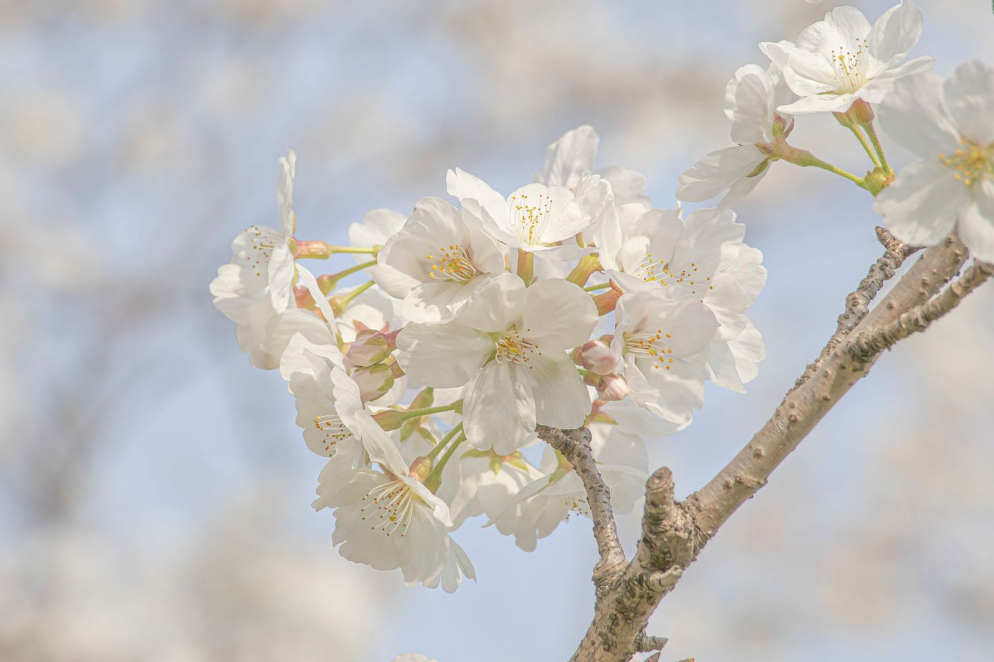 photos/p-7d381b76-a938-4c8a-9502-f087f634b2bb1.jpg.json