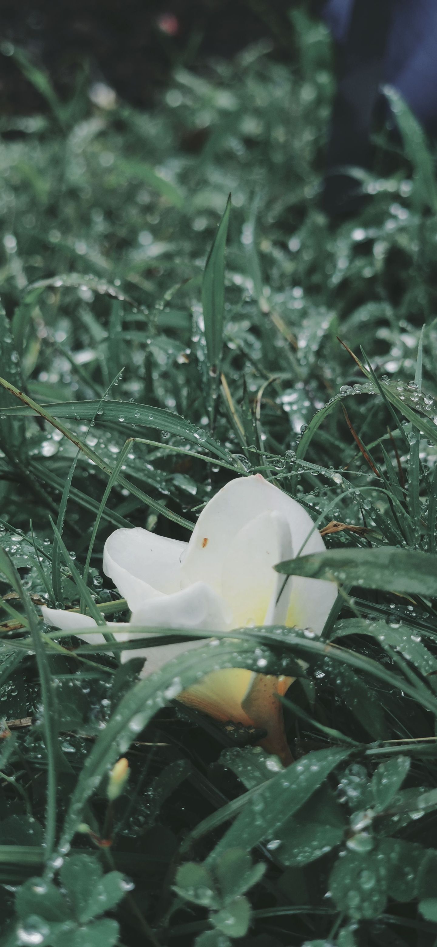 photos/p-83a961e8-9188-4a85-840c-c83cfa40a23f1.jpg.json