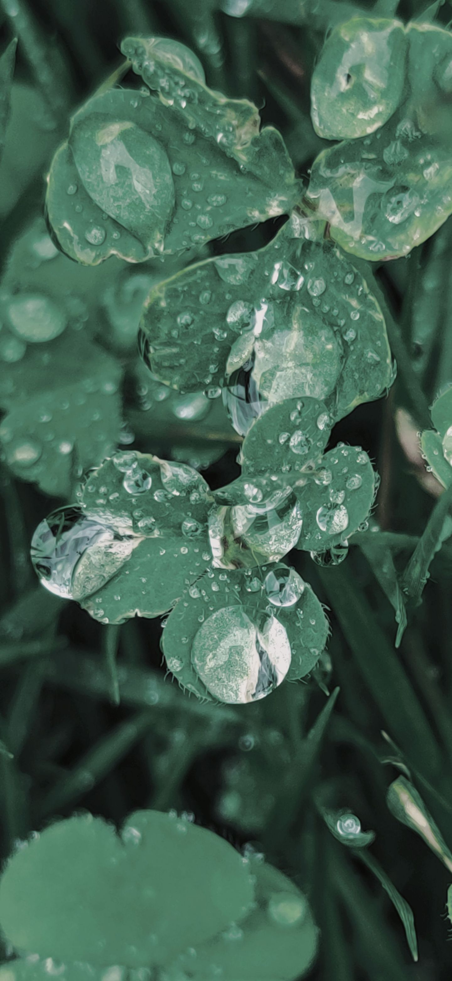 photos/p-8d7f4878-1cf6-412d-9558-03b07a4324eb1.jpg.json