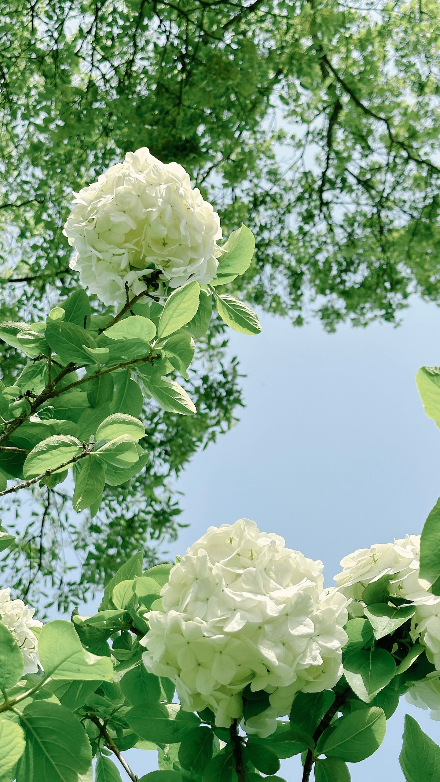 photos/p-943288c5-c783-4e9e-be00-20f0169d31401.jpg.json