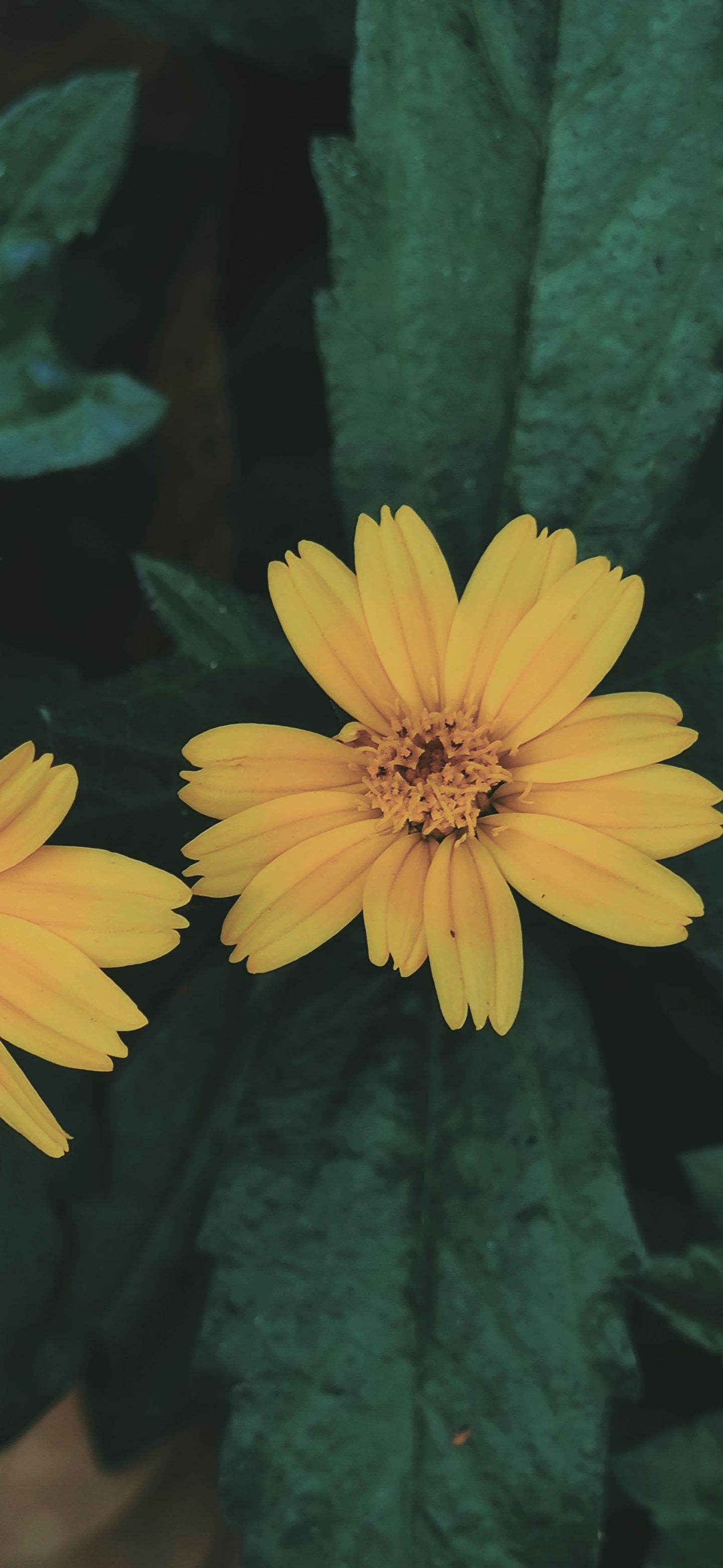 photos/p-be2b7558-6b6a-4e2b-b214-49c4cce0b5741.jpg.json