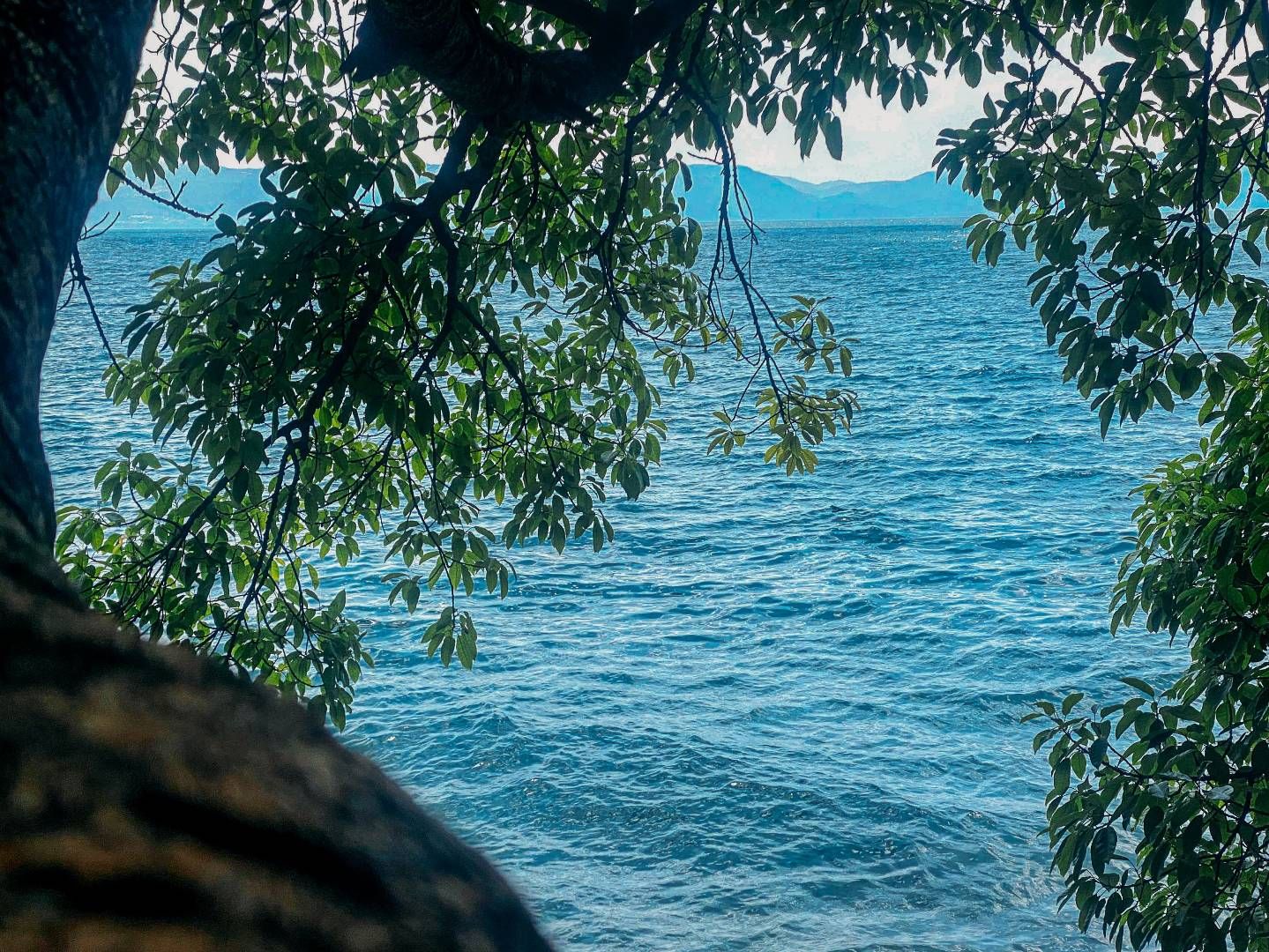 photos/p-c0552539-7ee9-453c-b5e4-c68dae1d1fa01.jpg.json