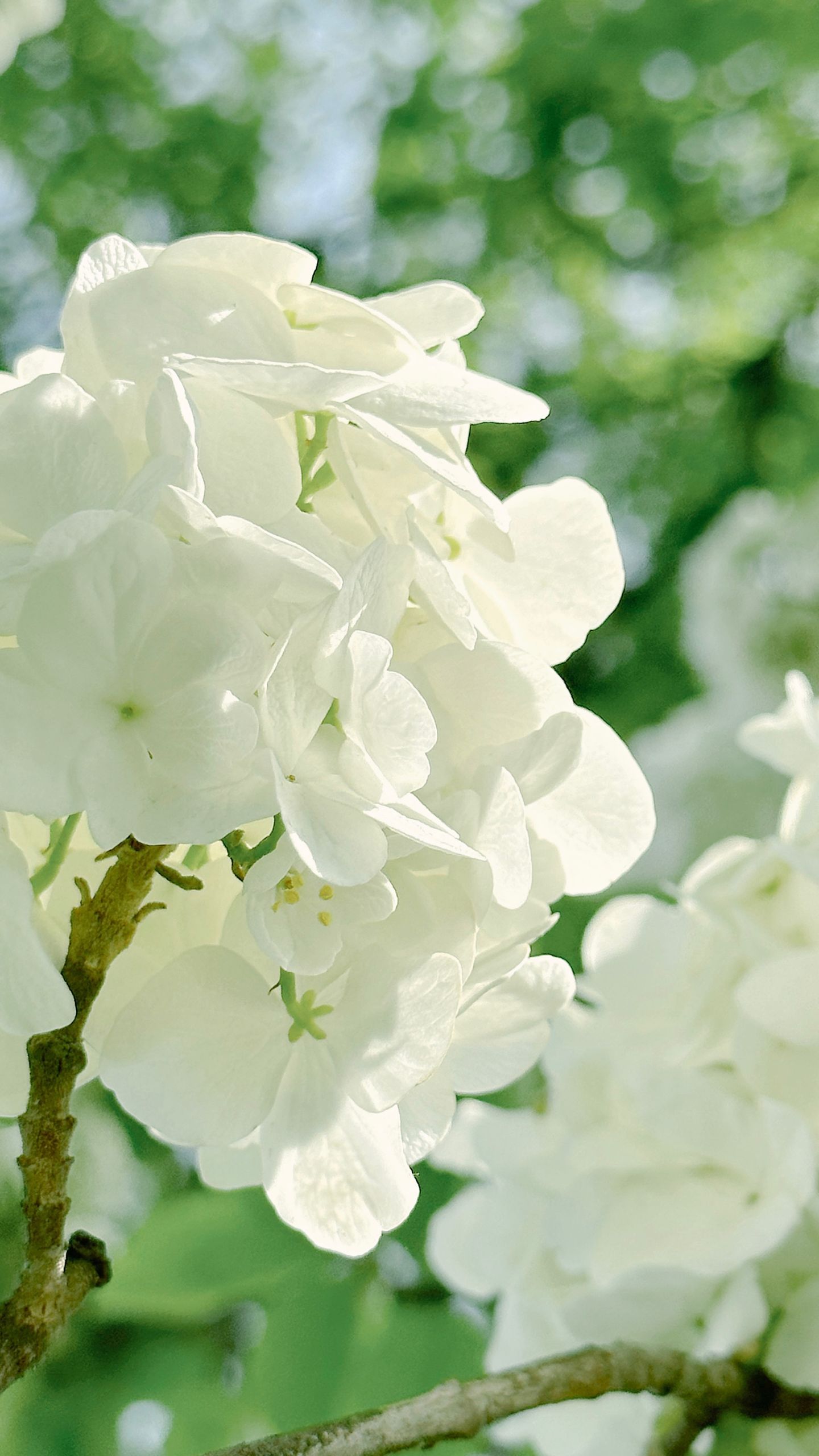 photos/p-c2a419f4-6d91-44d3-b7db-eaa78cc0ee5a1.jpg.json