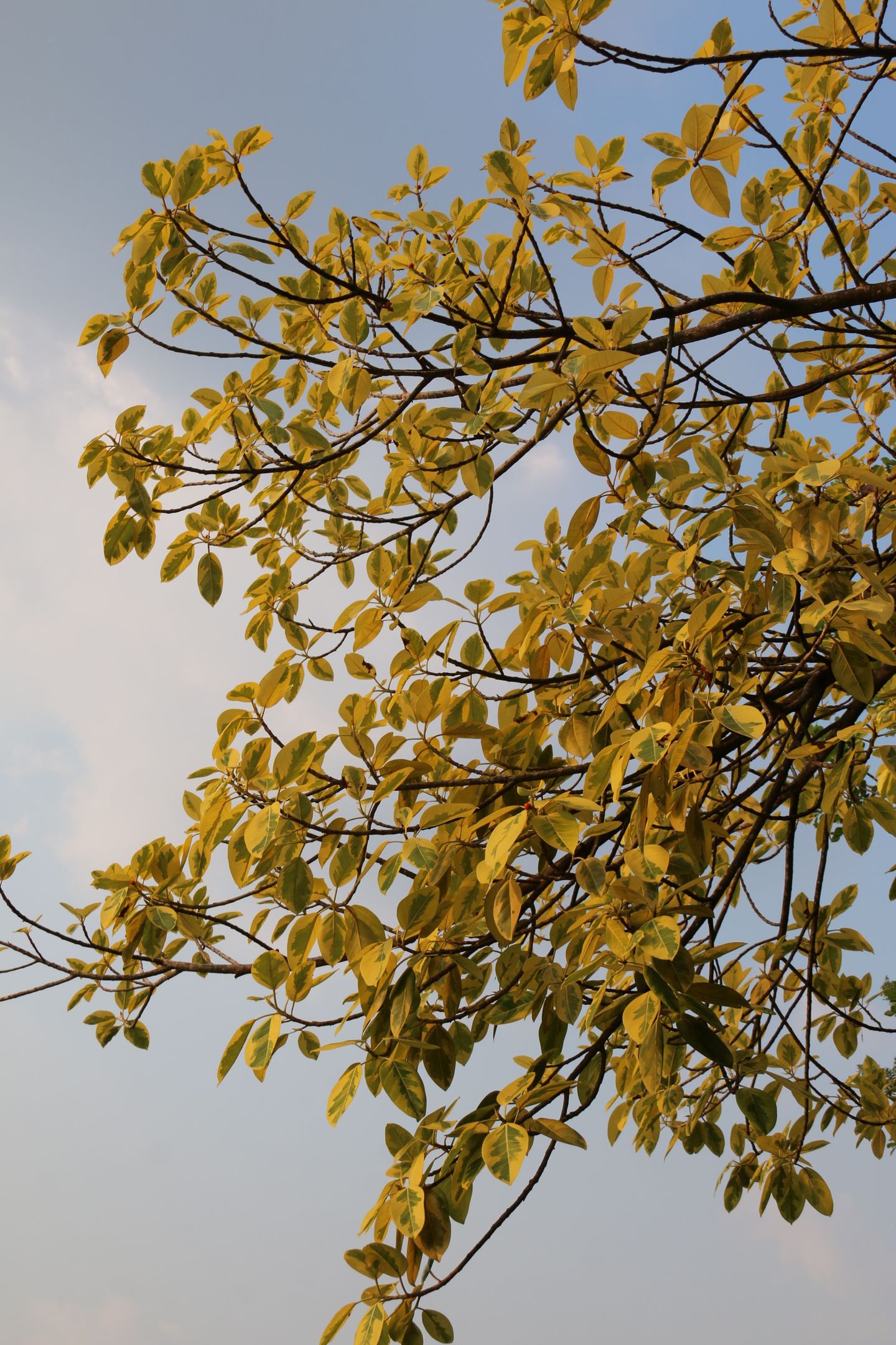 photos/p-c83ec313-27d7-4fae-984e-b57d6c67d2481.jpg.json