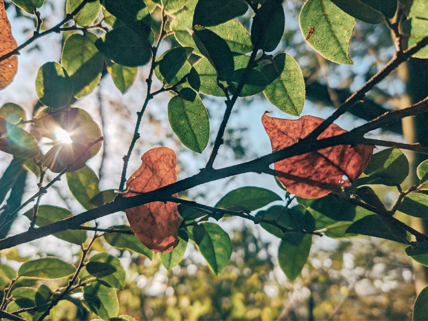 photos/p-cae137ab-0036-4089-ae1d-c82e2f020bfb1.jpg.json