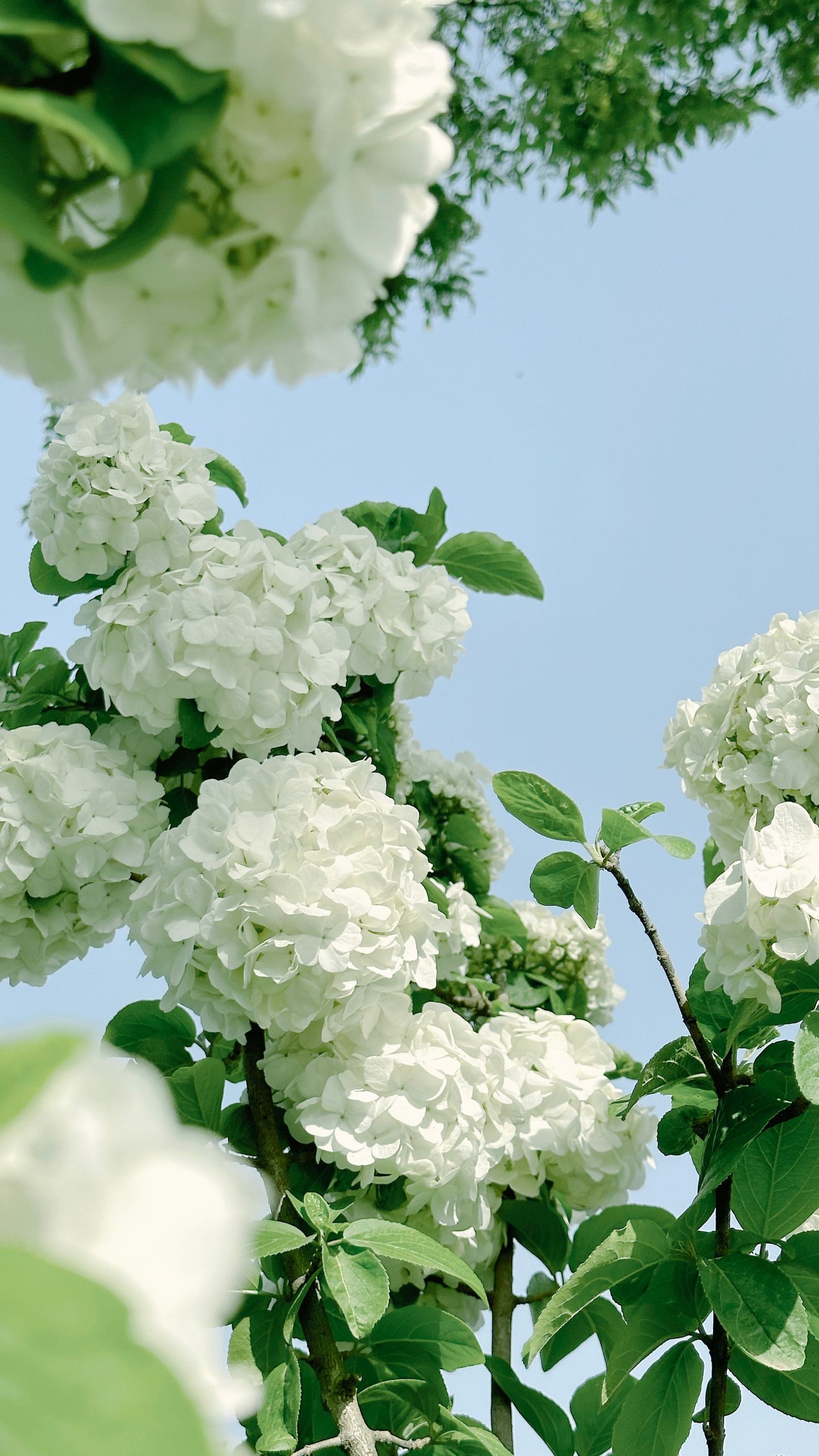 photos/p-e15d345f-5e10-4a6d-aeac-ddc1412642601.jpg.json