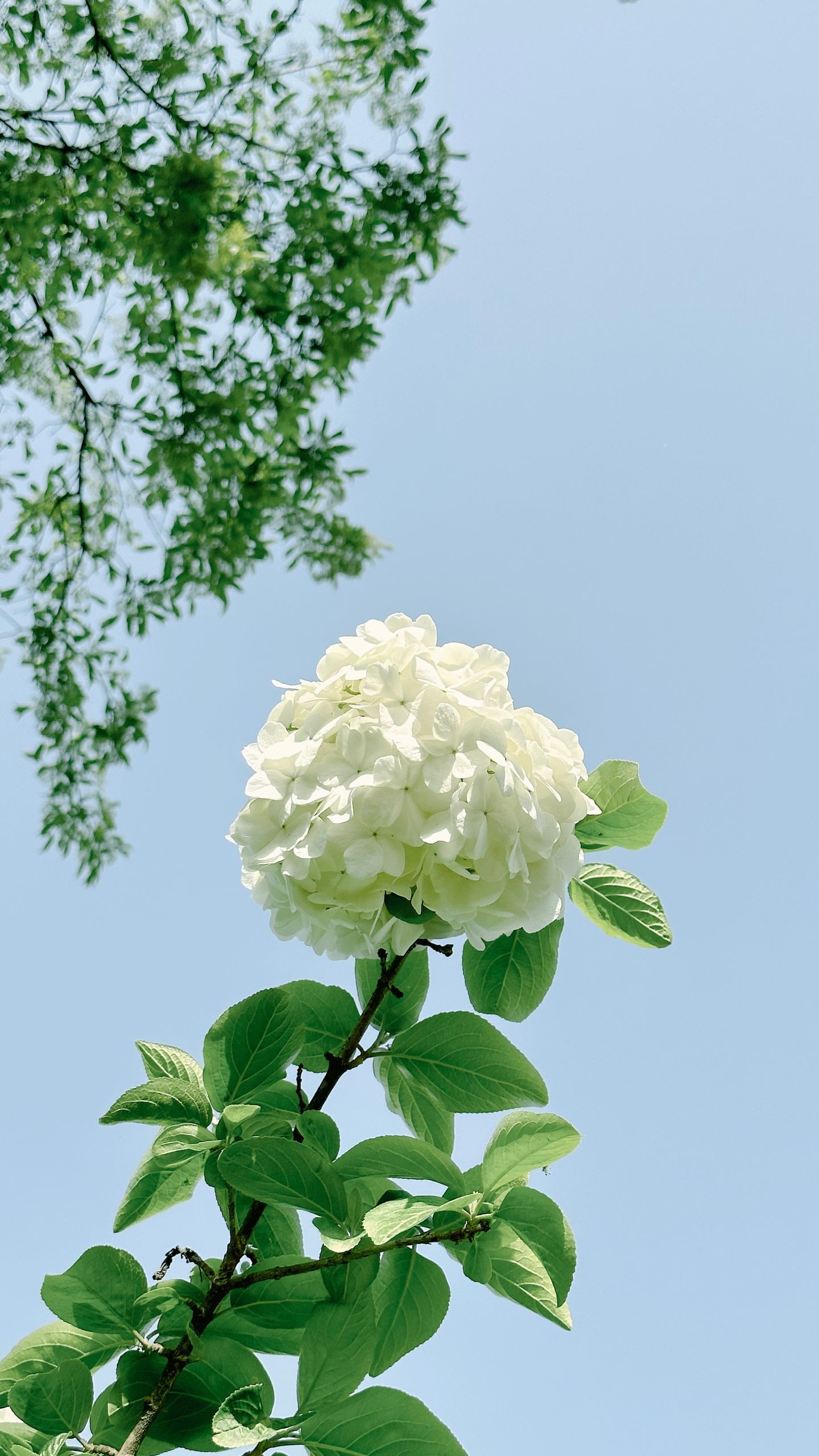 photos/p-e191e13f-8d9e-46ee-9fa9-84243a2960001.jpg.json