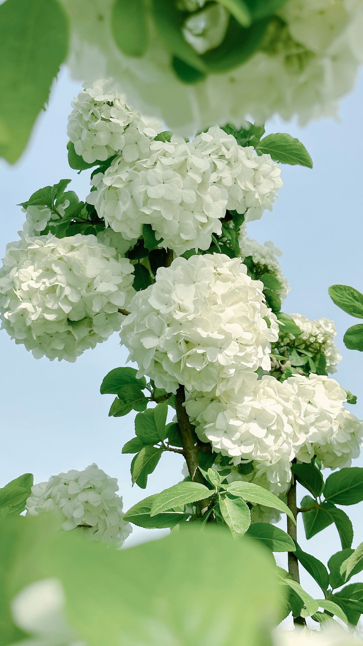 photos/p-e75df9ee-6849-49c4-bf1a-4083aaac93831.jpg.json