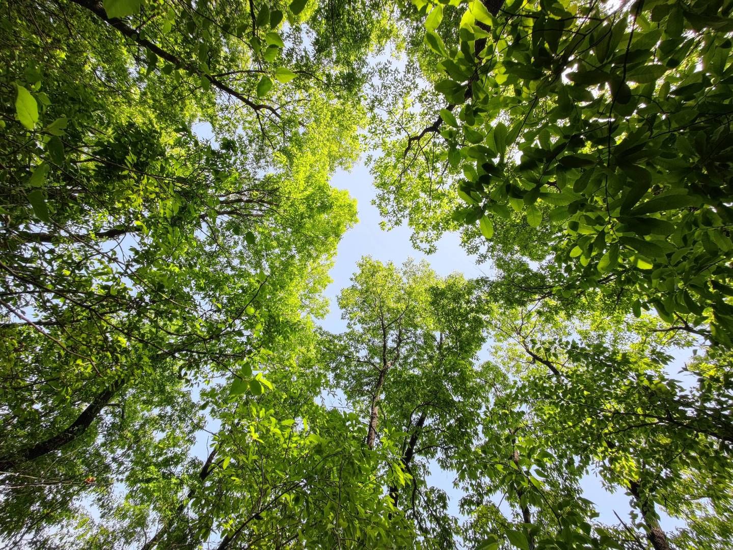 photos/p-ed1182be-8d4f-452c-bb2c-dac4482ef9c71.jpg.json